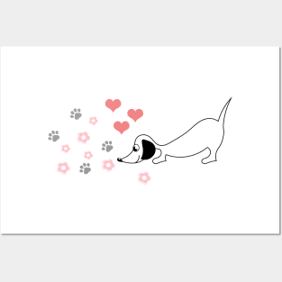 Little dachshund on the trail of love Posters and Art